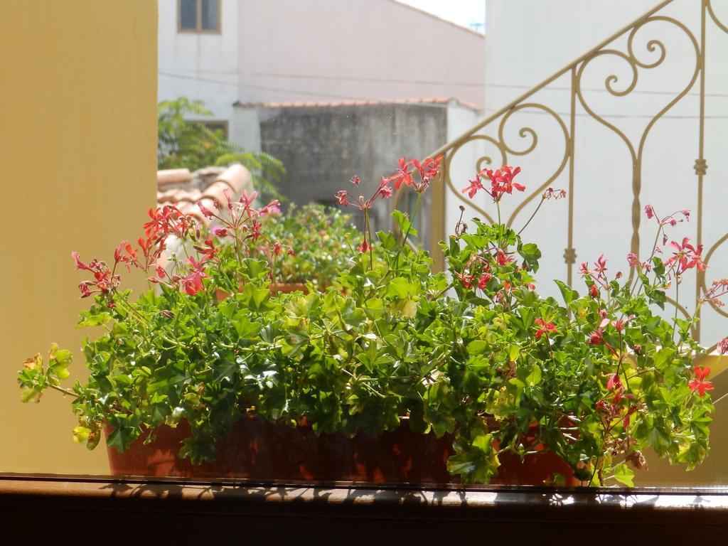 Ploaghe Sa Chessa B&B المظهر الخارجي الصورة